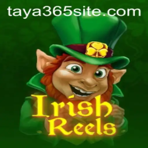 Exploring the Enchanting World of IrishReels with TAYA365